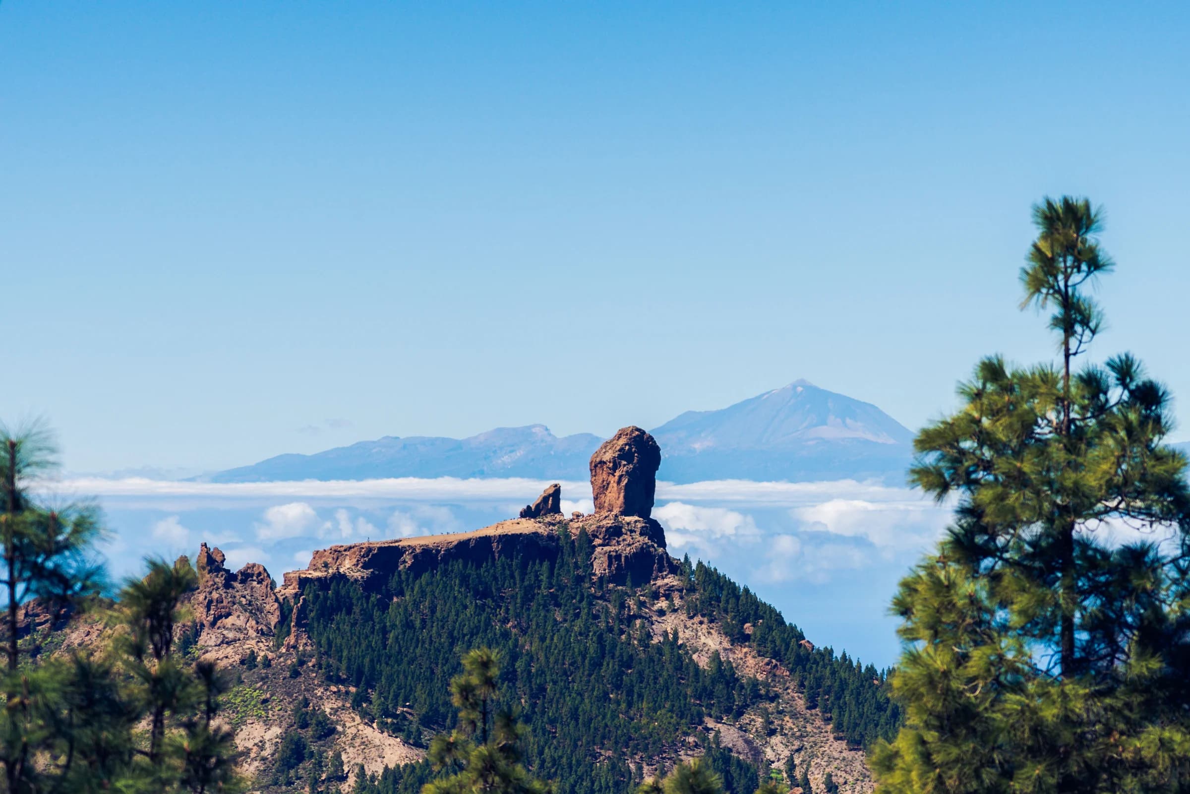 Roque Nublo rock pillar on a pine-covered ridge in Gran Canaria, above a sea of clouds with a distant volcanic peak
